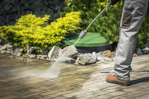 Best Pre-Holiday Cleaning  in Mullins, SC