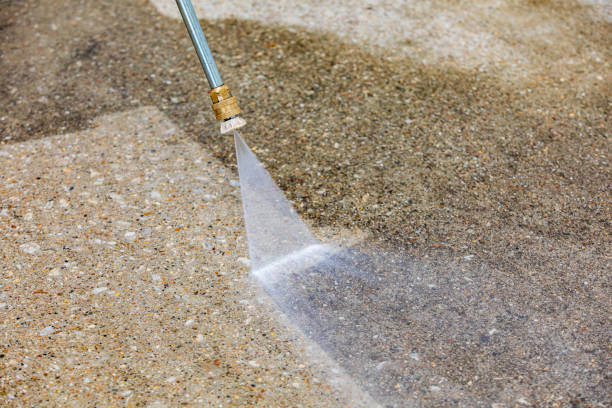 Best Animal Enclosure Cleaning  in Mullins, SC
